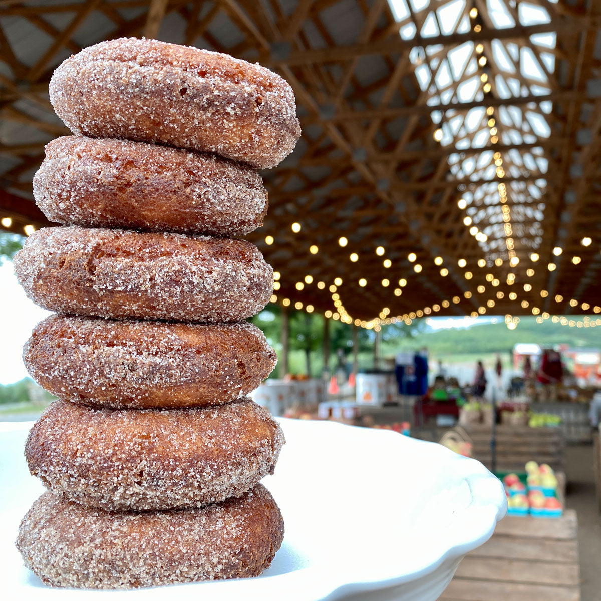 Apple Cider Donuts