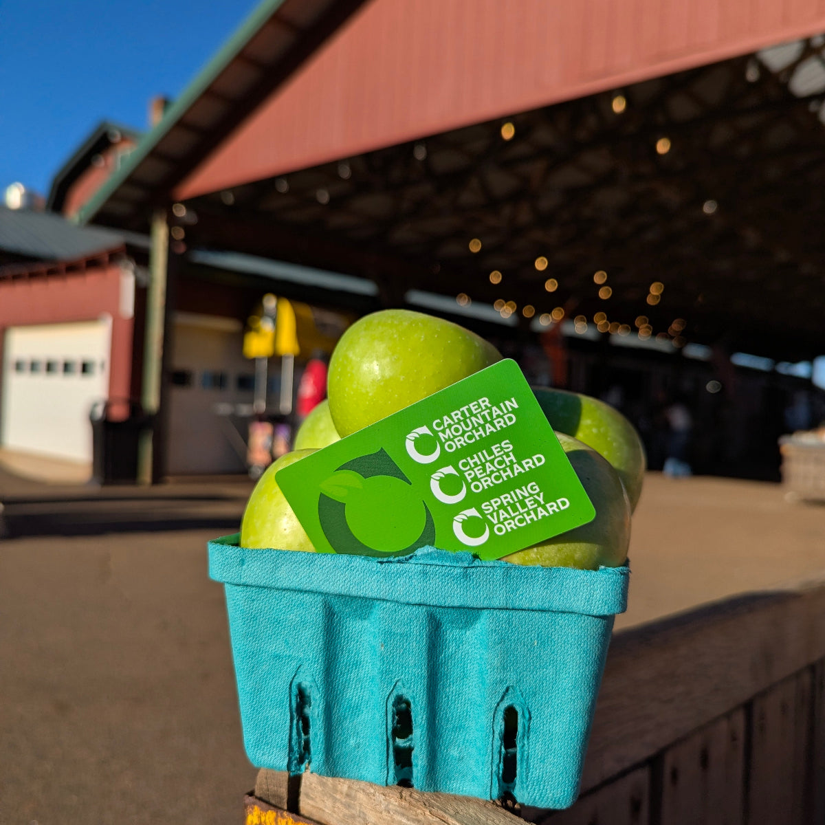 Chiles Family Orchards gift card paired with a fresh green apples at Carter Mountain Orchard