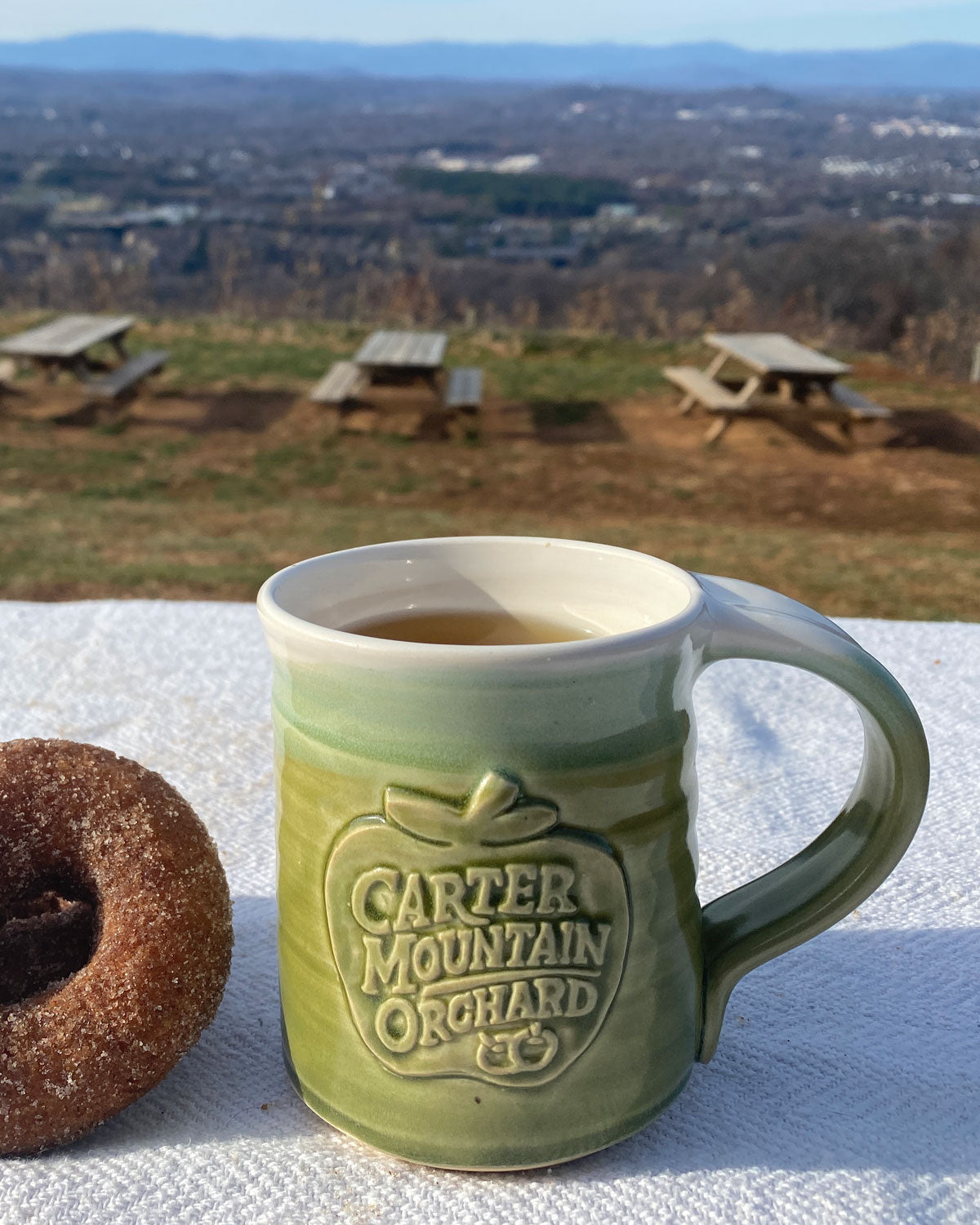 Carter Mountain Orchard logo mug grape green