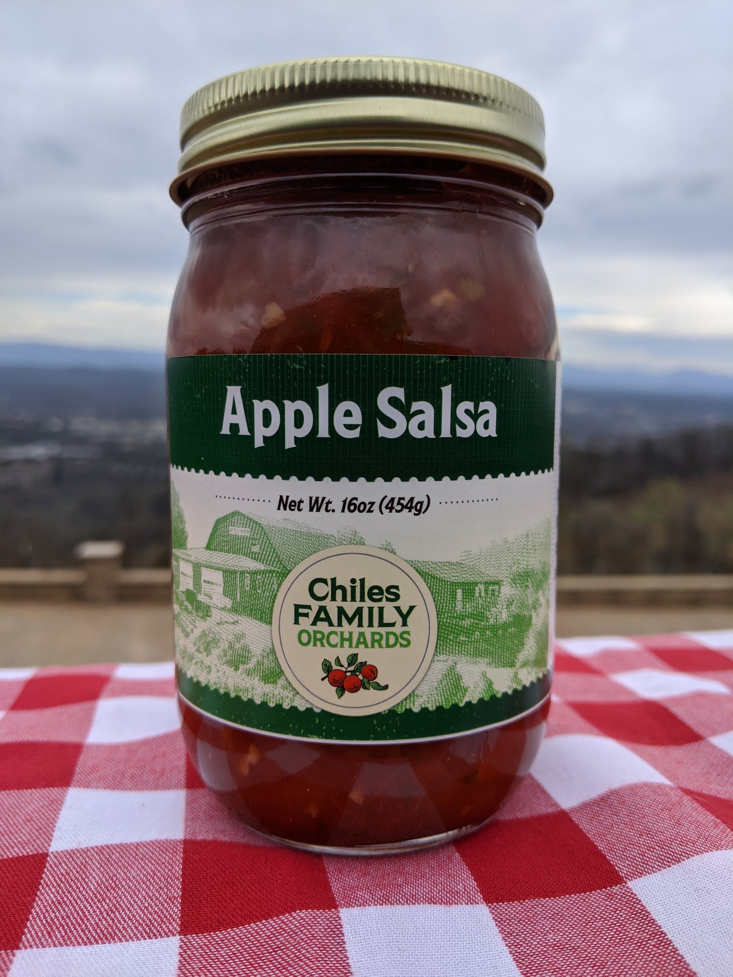 16oz Apple Salsa