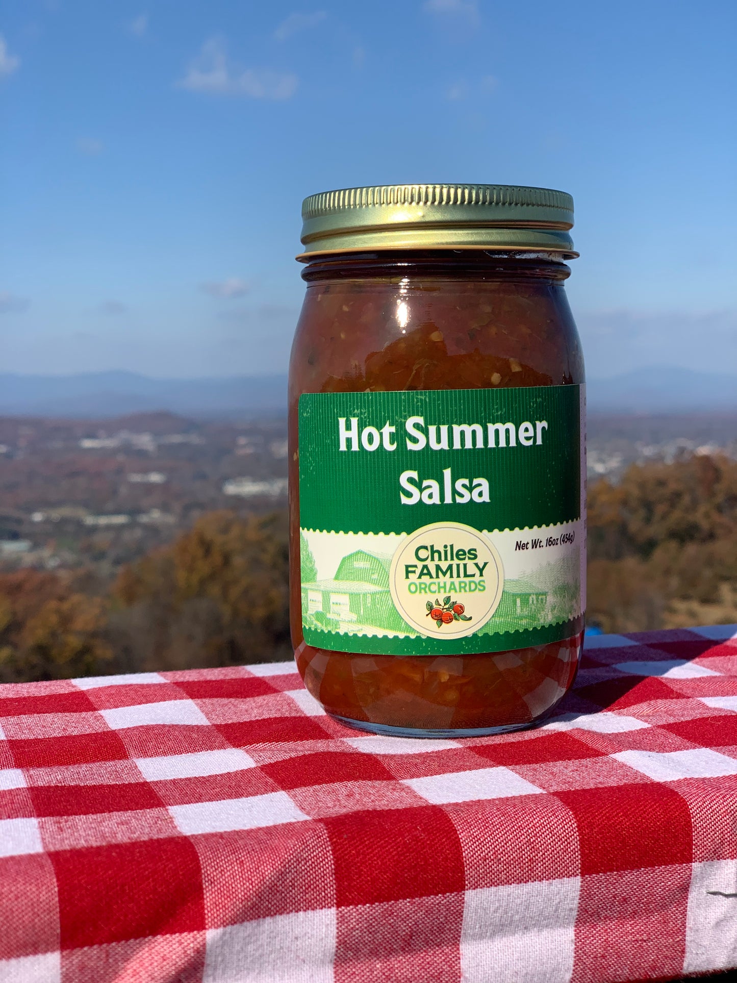 Hot Summer Salsa