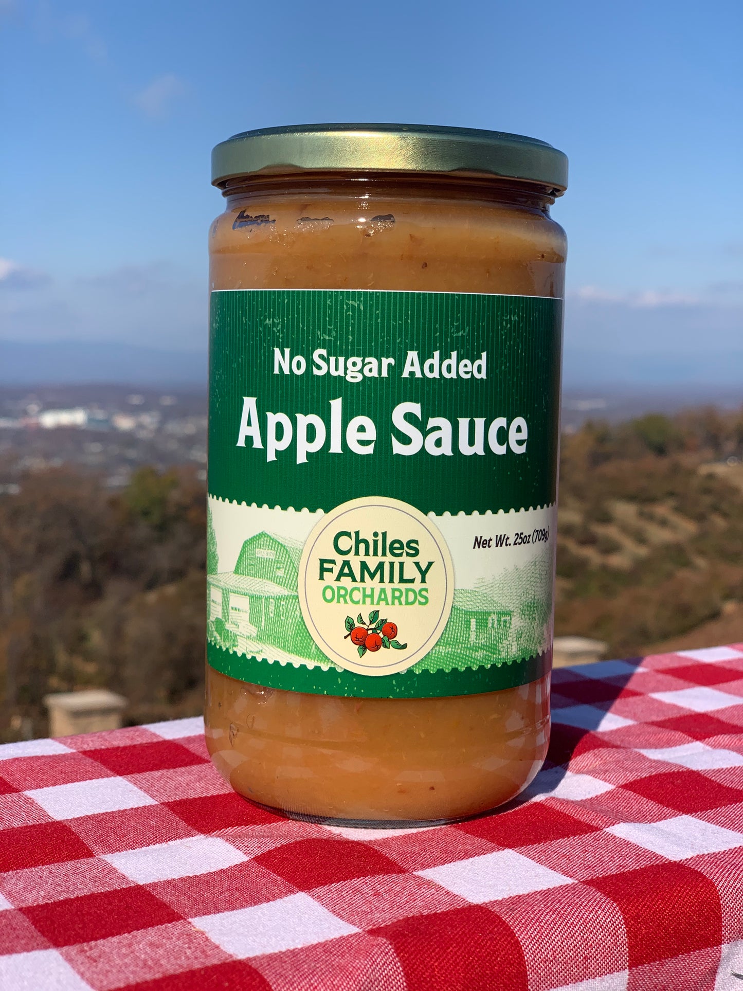 25oz No Sugar Added Apple Sauce