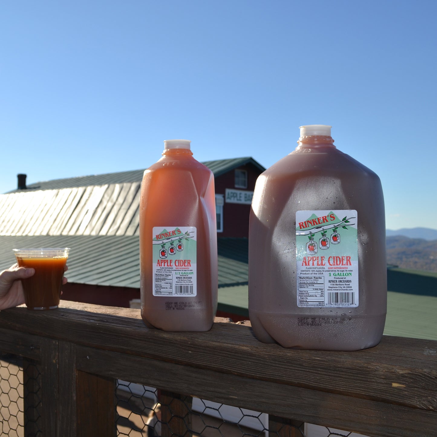 Gallon and half-gallon jugs of Rinker's Apple Cider at Carter Mountain Orchard