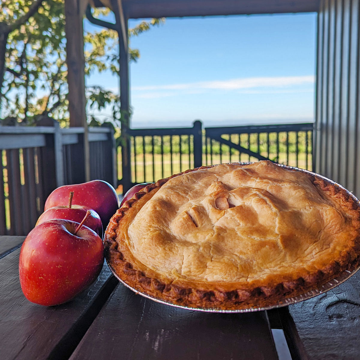 Apple pie next to red apples at an apple orchard