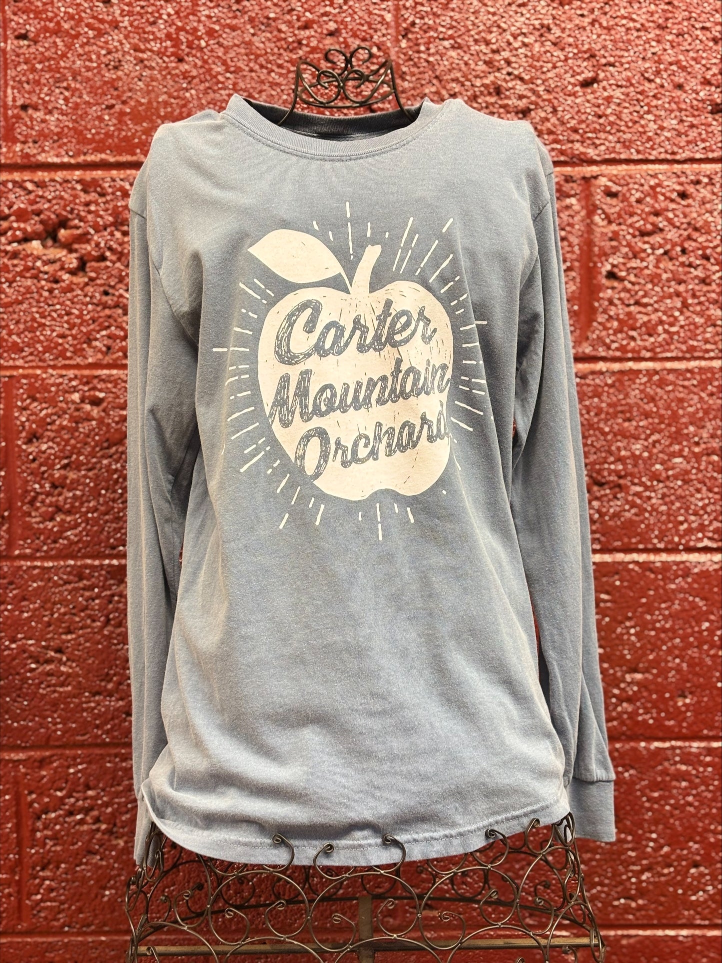 Adult Retro Apple LS