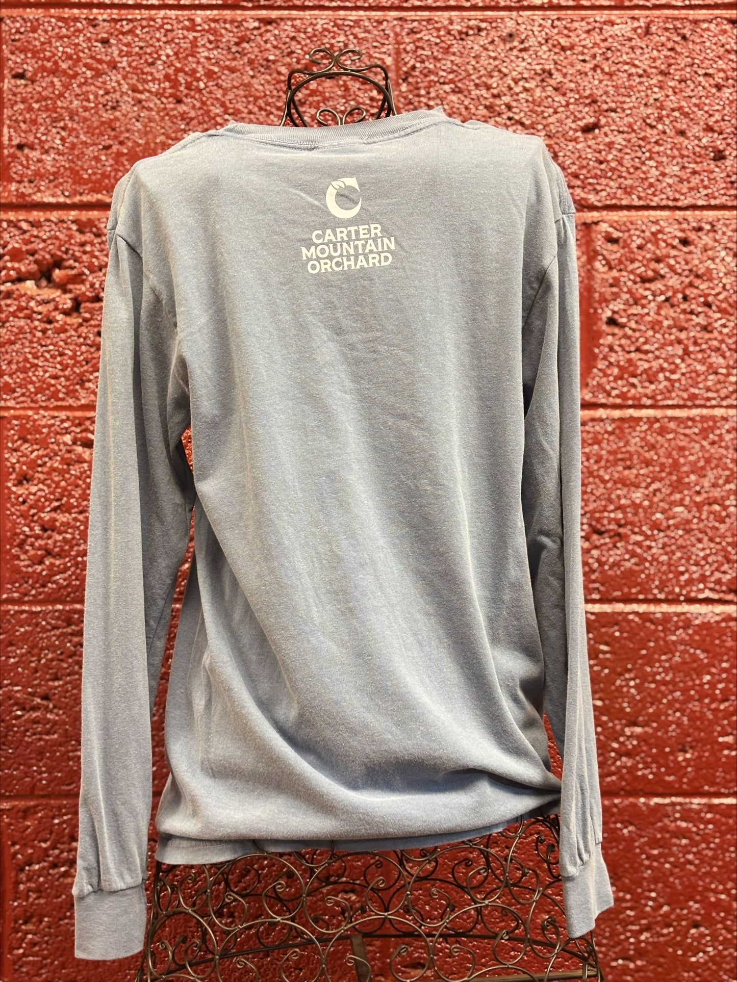 Adult Retro Apple LS