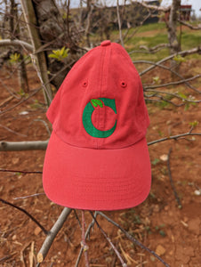 CMO Logo "Dad" Hat