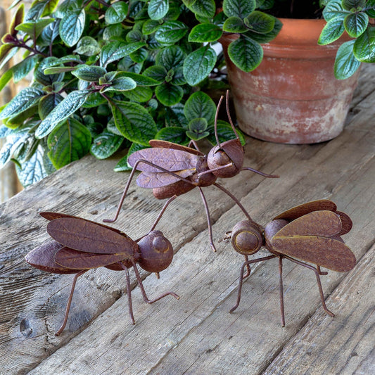 Collected Metal Bug